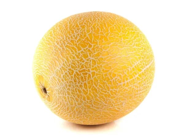 Kavun